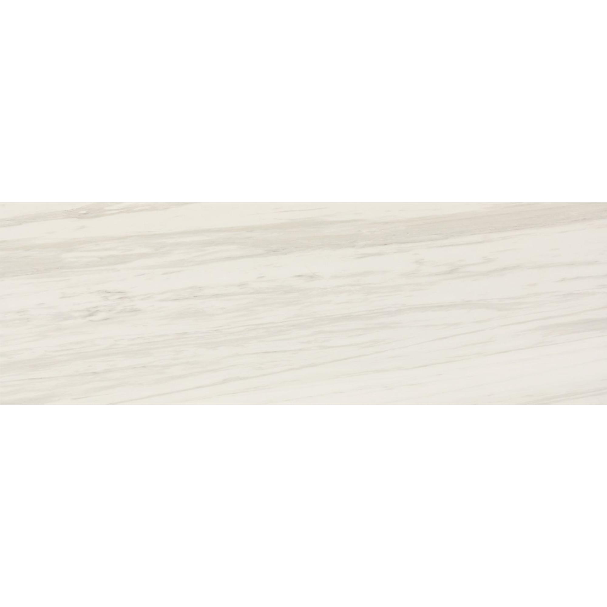 Perpetuo Timeless White Rectangle 12X24 Matte
