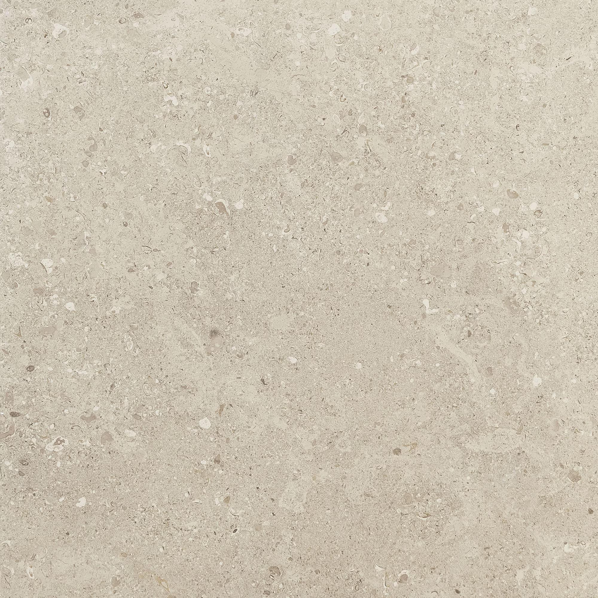 Dignitary Notable Beige Rectangle 12X24 Light Polished