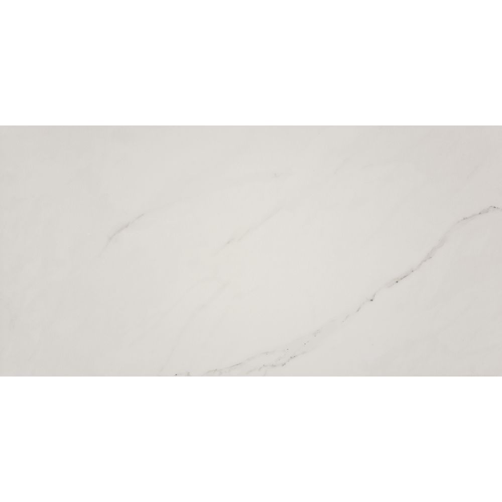 Aria Ice 24X48 Polished Porcelain Tile - Tilesbay.com