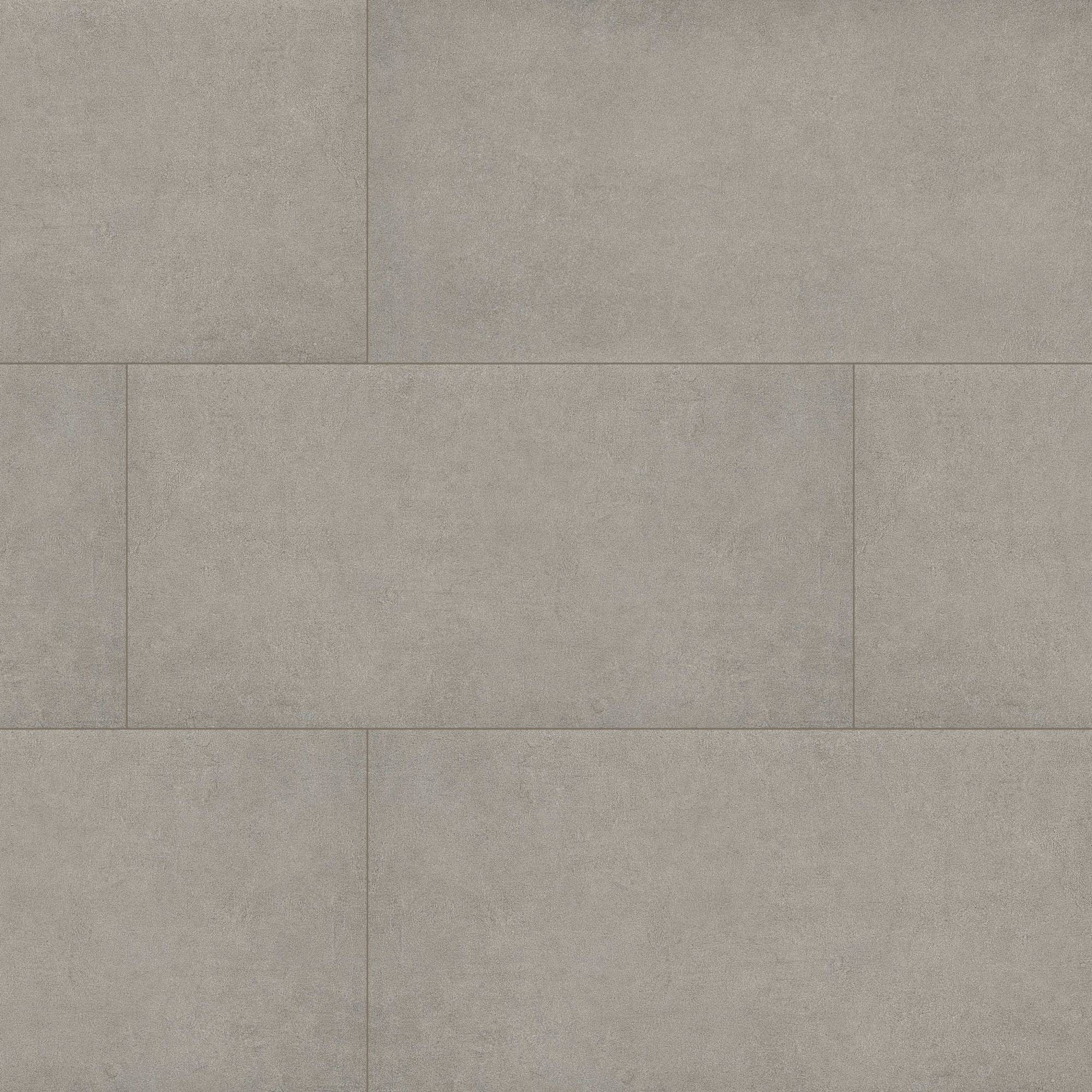 Cementique Arterra Silver 24X48 Matte Porcelain Paver