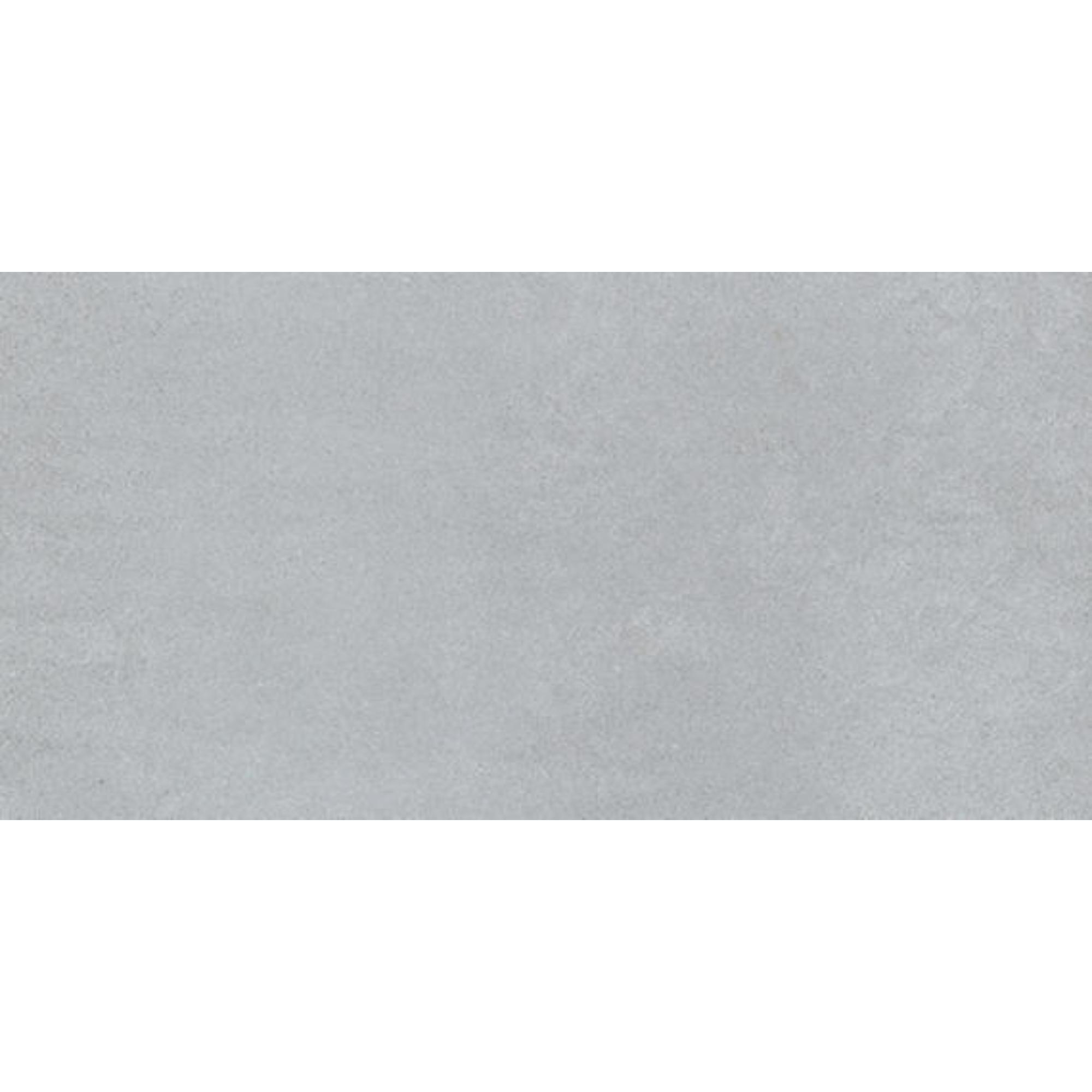 Cohesion Light Grey 24X48 Polished Porcelain Tile