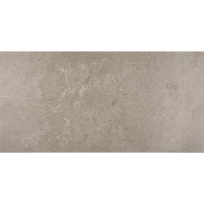 Advantage Renoir Grey 12X24 Matte Porcelain Tile