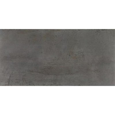 Emergent Iron 12x24 Light Polished Porcelain Tile 