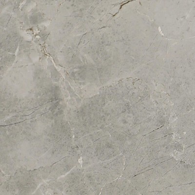 Platinum Dove 12X12 Matte Porcelain Tile