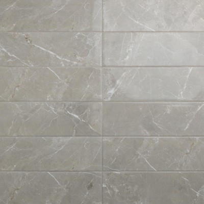 Platinum Dove 12X24 Matte Porcelain Tile