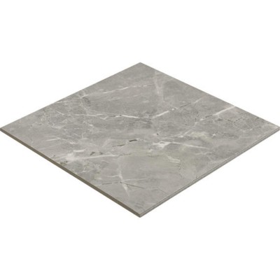 Platinum Dove 24X24 Matte Porcelain Tile