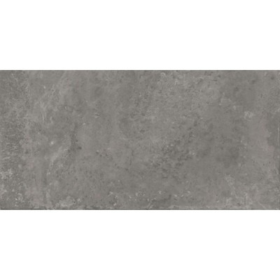 Platinum Grey 12X24 Matte Porcelain Tile