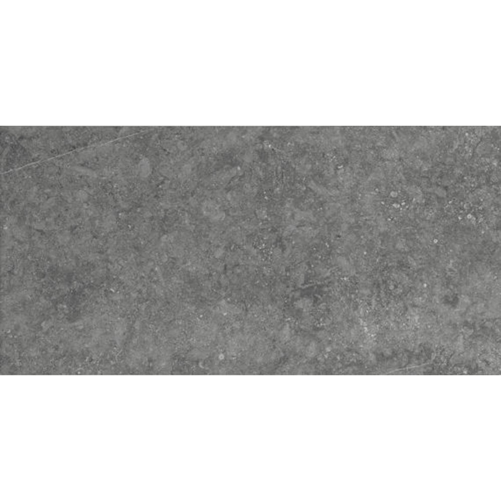 Diplomacy Light Grey 12x24 Matte Porcelain Tile