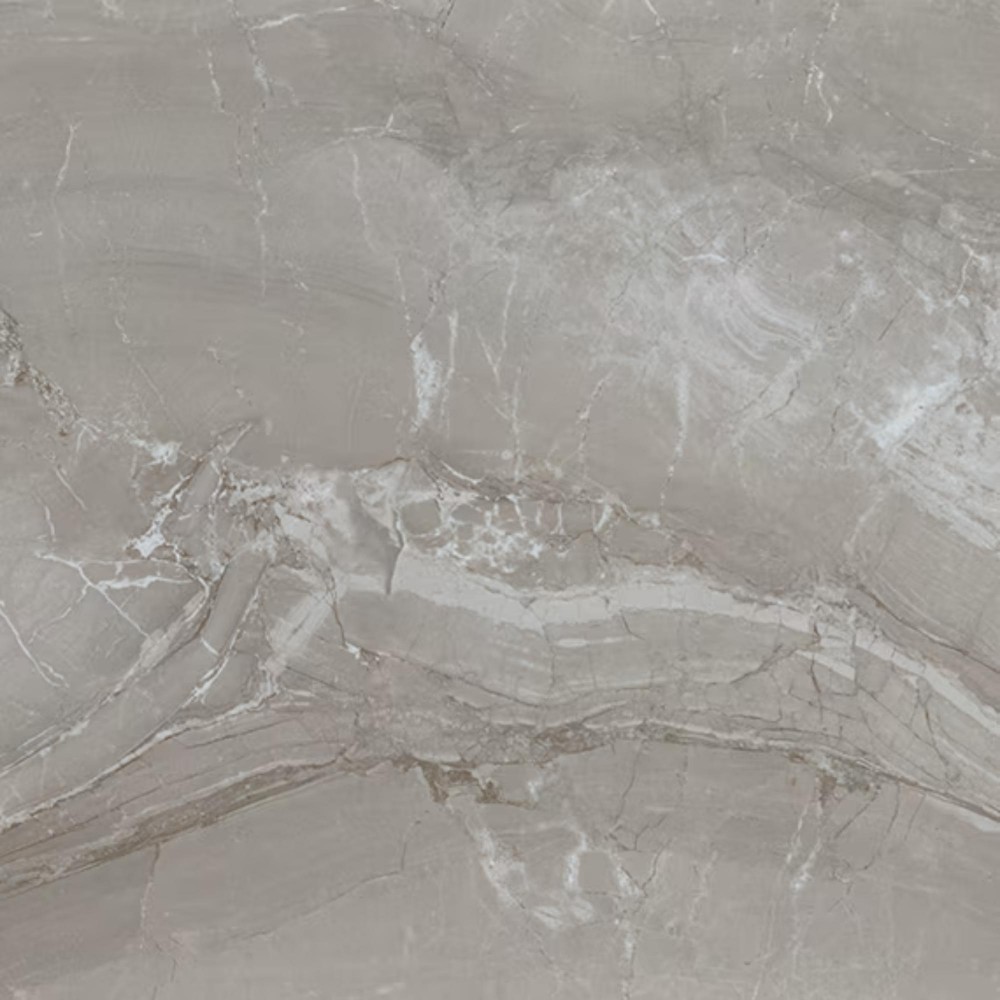 Famed Fortune Microban 24x24 Matte Porcelain Tile