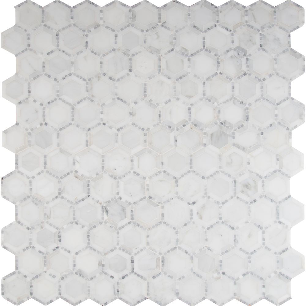 Telaio White 2X2 Hexagon Honed Mosaic