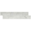 Cosmic White Rockmount 6X24 Split Face Ledger Panel