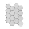 Thassos And Carrara White Mixed Dot 3X3 Hexagon Polished Mosaic