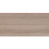 Athens Grey 12X24 Polished