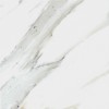 Calacatta Gold 12X12 Honed Marble Tile