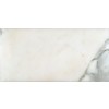 Calacatta Gold 12X24 Honed 