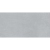 Cohesion Light Grey 24X48 Polished Porcelain Tile