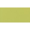 Color Wheel Classic Key Lime 3X6 Glossy Wall Tile