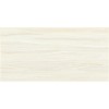 Composition Visionary Gloss 12X24 Glossy Wall Tile