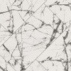 Lux Iceberg 24x48 Polished Porcelain Floor Wall Tile