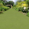 Putting Green Indoor/Outdoor 15 ft. Wide Artificial Turf 