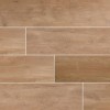 Lucas Betulla 12X48 Matte Paver