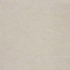Monterosa Beige 20X20 Polished