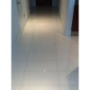 Super Thassos Glass 12X24 Polished