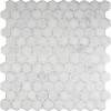 Telaio White 2X2 Hexagon Honed Mosaic