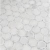 Telaio White 2X2 Hexagon Honed Mosaic