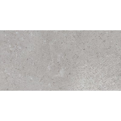 Dignitary Eminence Grey 24x48 Matte Porcelain Tile