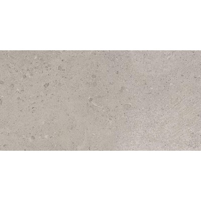 Dignitary Superior Taupe 24x48 Matte Porcelain Tile