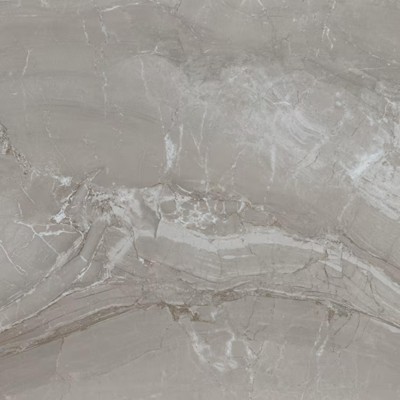 Famed Fortune Microban 24x24 Polished Porcelain Tile