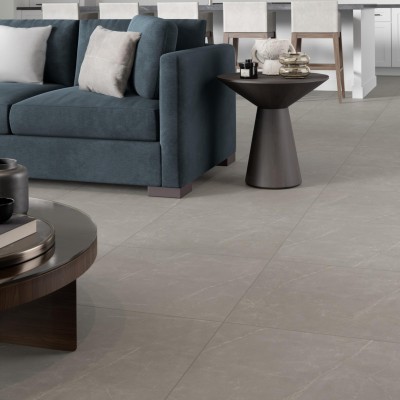 Platinum Dove 24X24 Matte Porcelain Tile