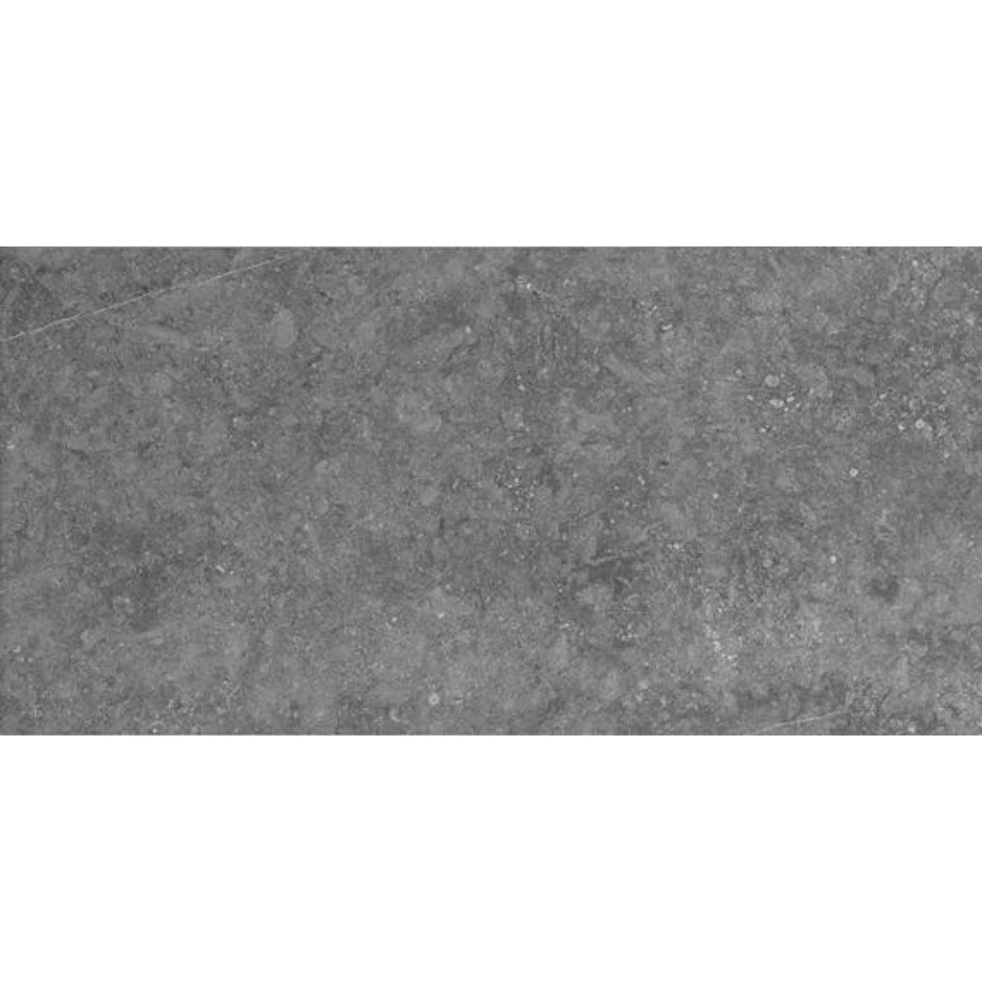 Diplomacy Light Grey 12x24 Matte Porcelain Tile