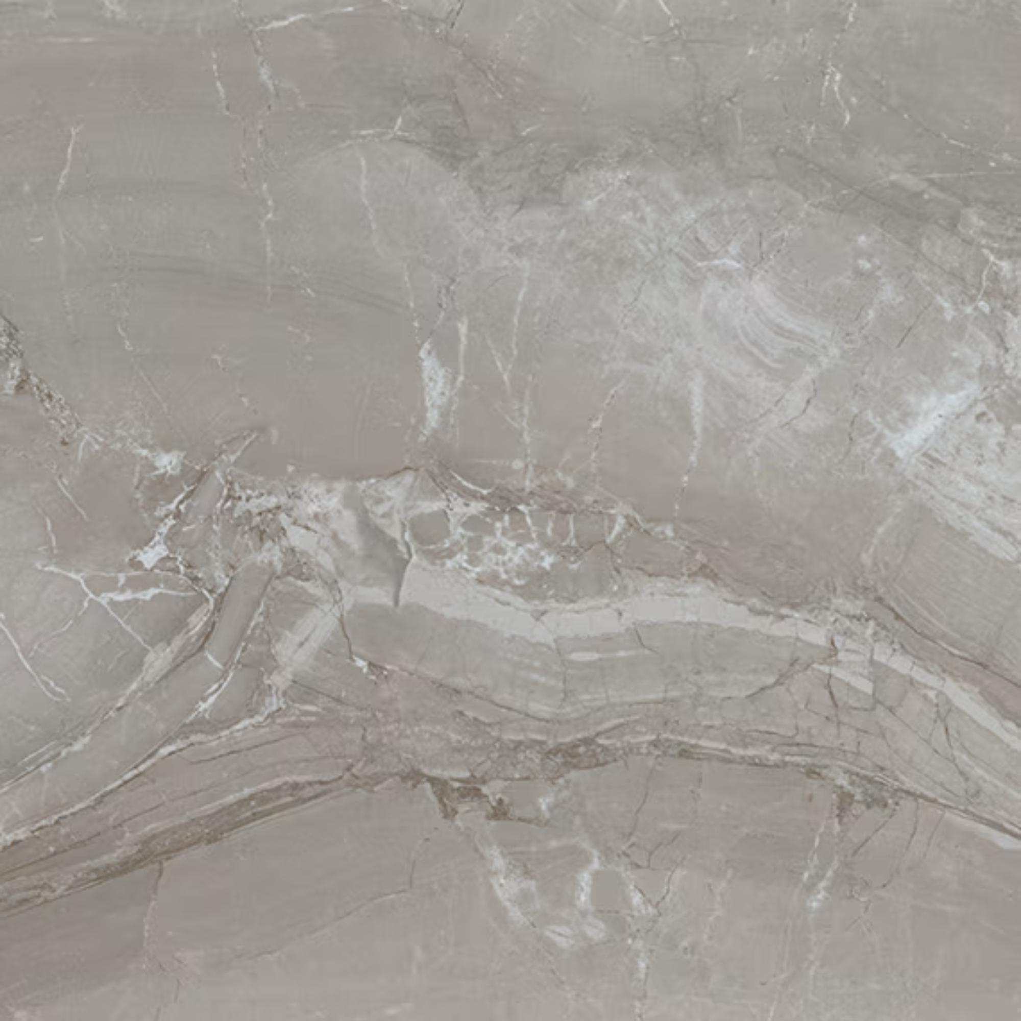 Famed Fortune Microban 24x24 Matte Porcelain Tile