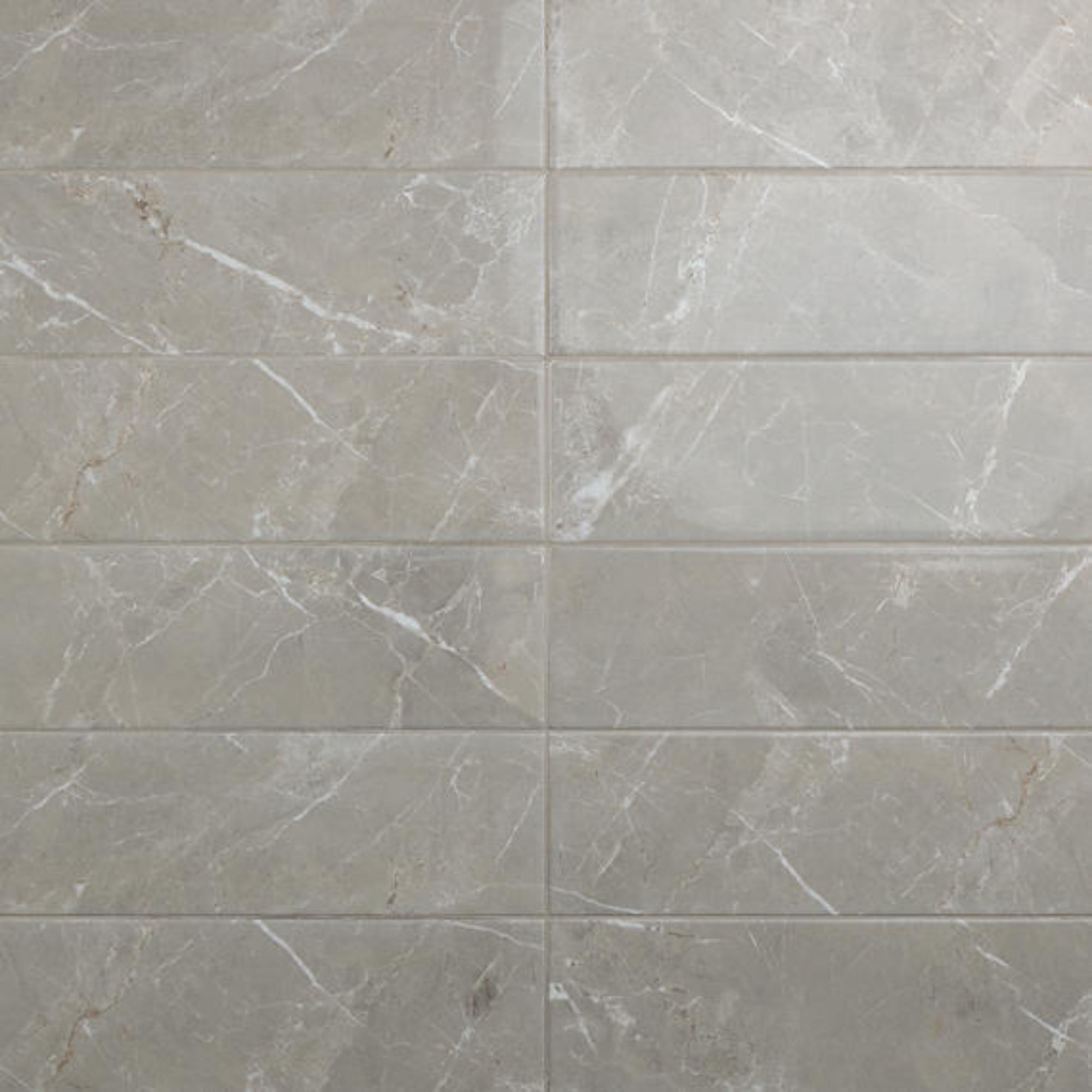 Platinum Dove 12X24 Matte Porcelain Tile