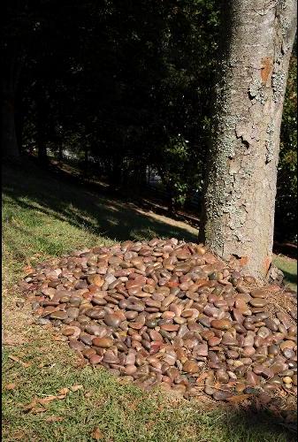 Red Polished 3-5 CM Beach Pebbles 