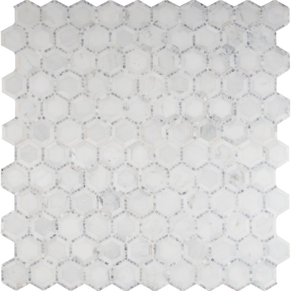 Telaio White 2X2 Hexagon Honed Mosaic