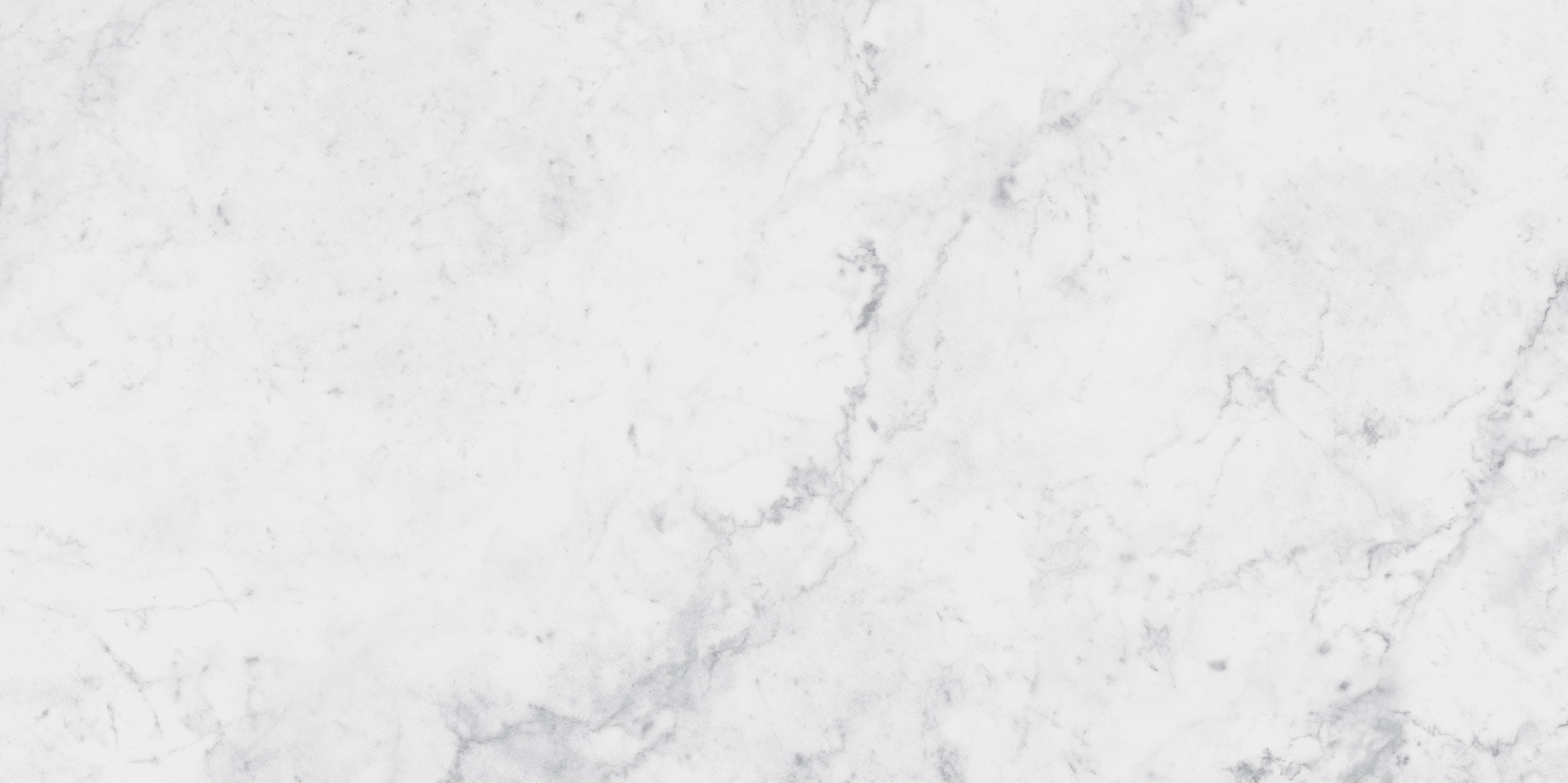 Trecento Carrara Avell 12X24 Luxury Vinyl Tile-1