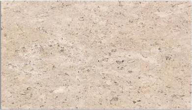 Sinai Pearl 12x24 Polished Marble Til
