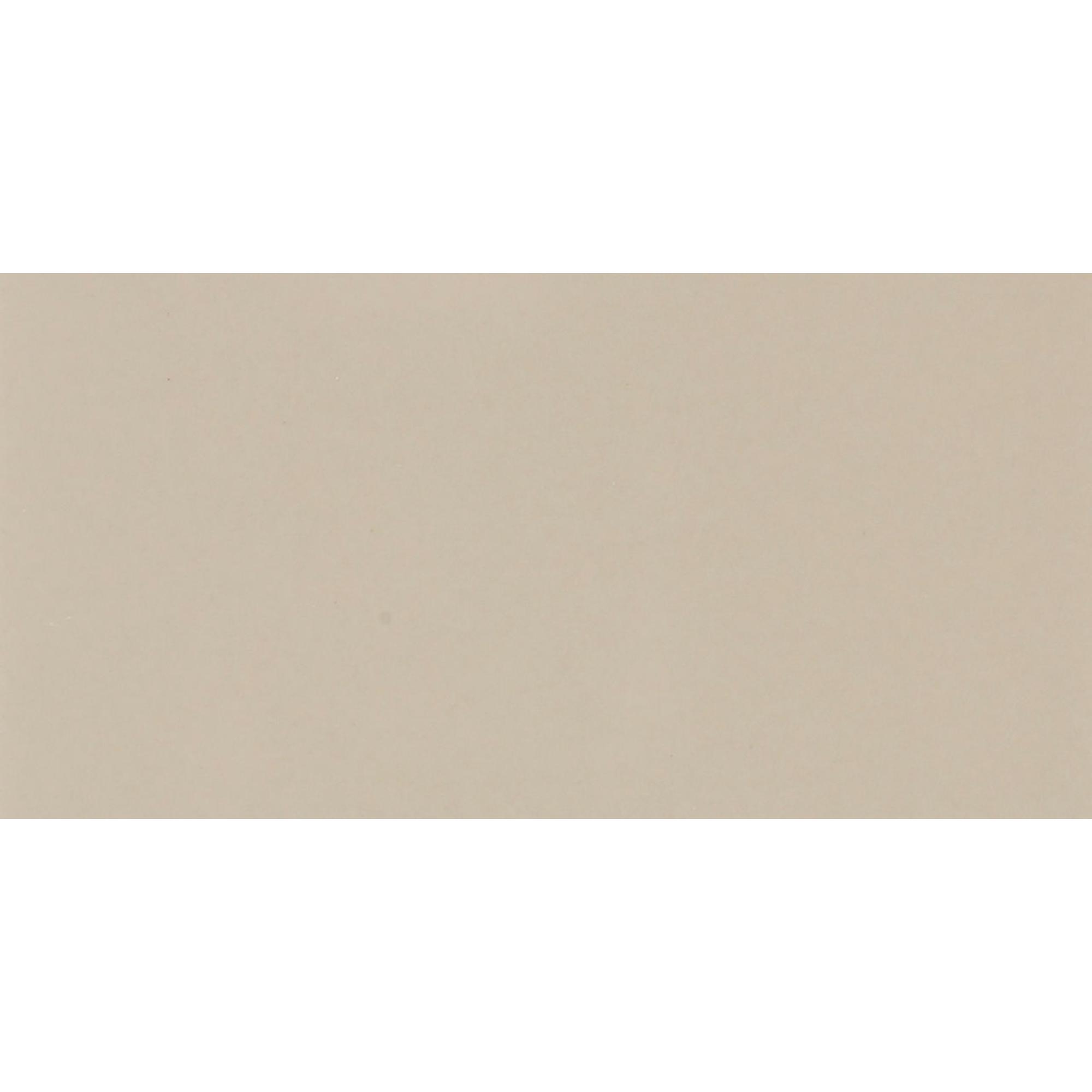 Color Wheel Classic Matte Urban Putty Rectangle 3X6 Matte